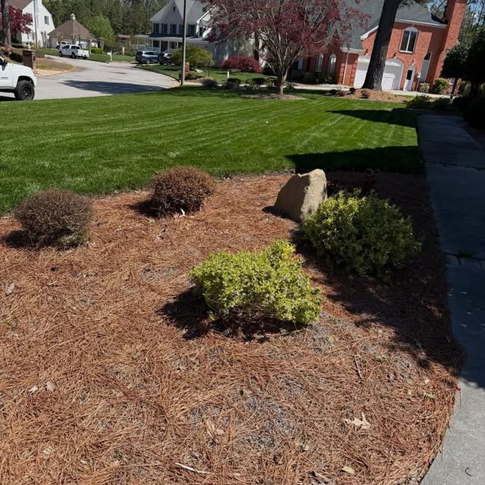 658506417 18065457677404080 5247251500571132659 n.