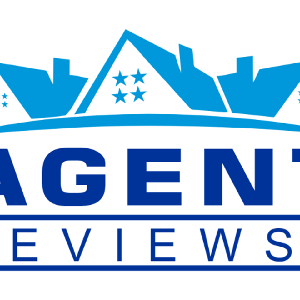 Ray agent reviews