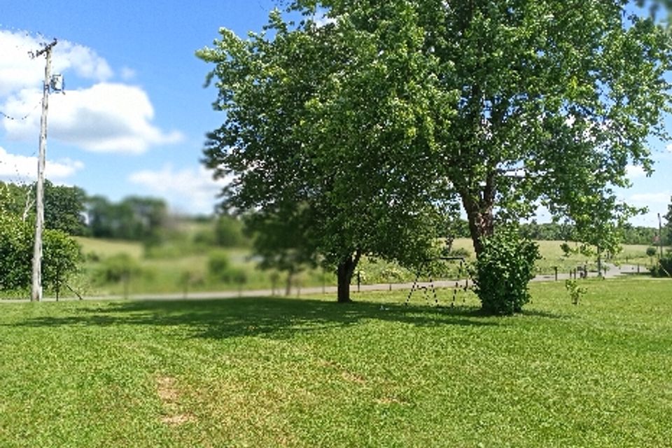 The Hub Regen Farm in Owego, NY fruit trees