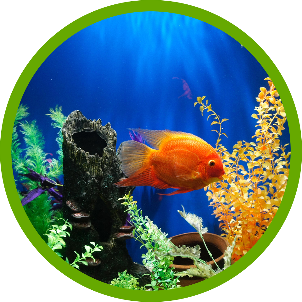 Delbert pagayona 46v8clmnjy8 unsplash 960x960 circle