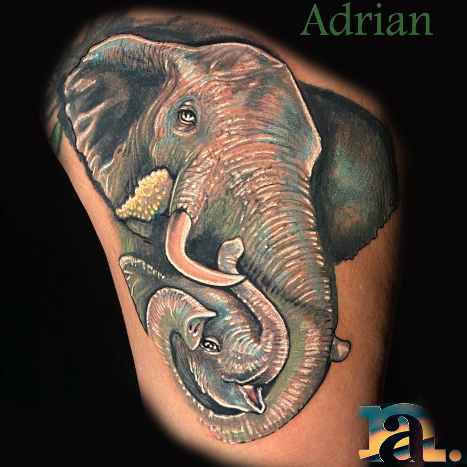 Adrian elephant mother child