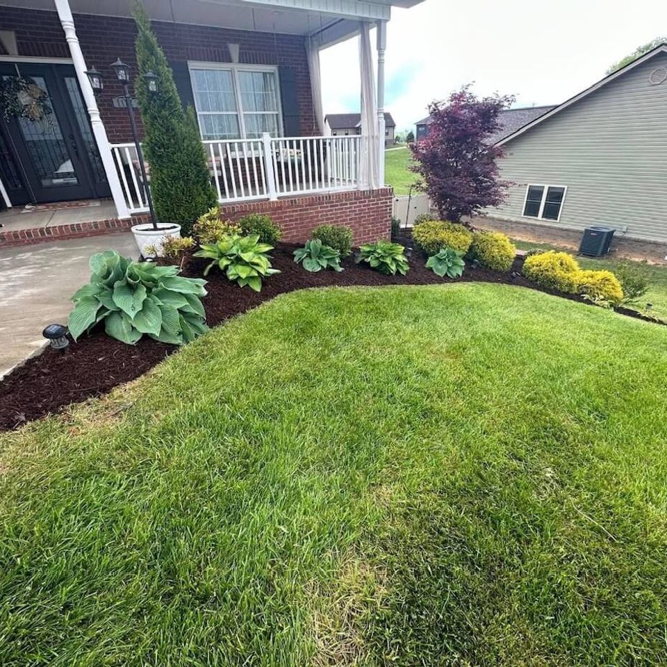 Image1 1