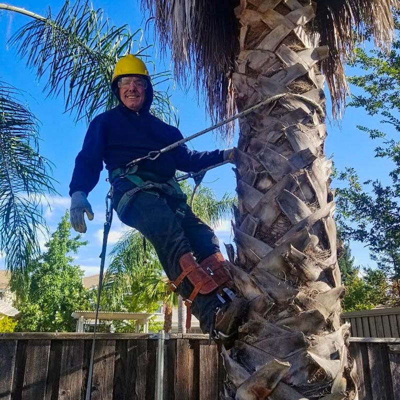 Economy Tree Service