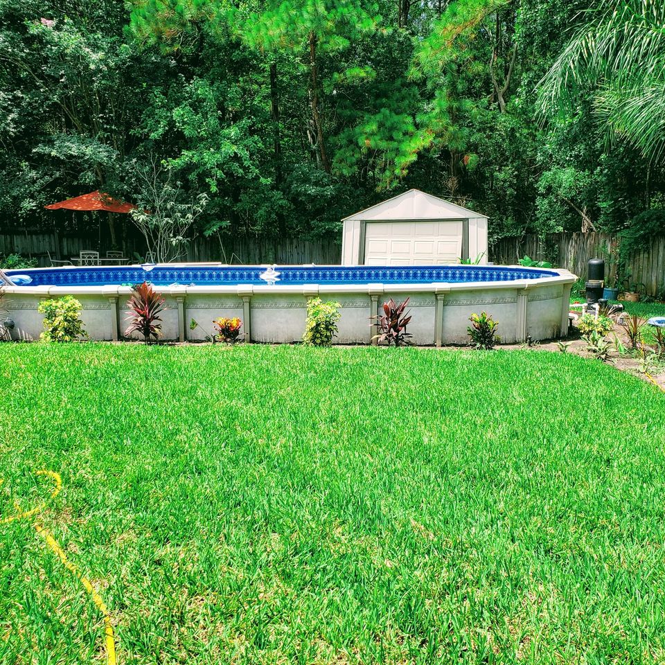 Paradise pools 10