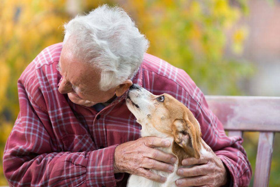 An older man playing his pet dog outside on a bench