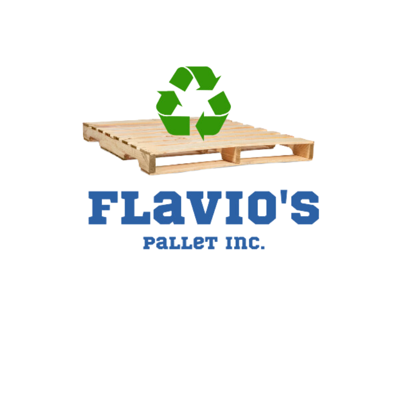Flavio's transparent background