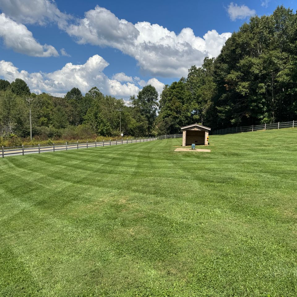 Img 8592 b8ede696 88c5 4af5 94bc 0689e4271b9e