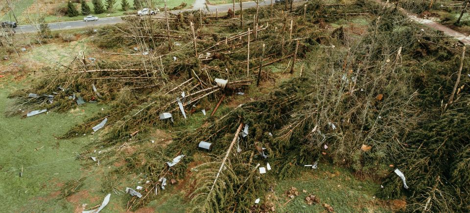 Storm damage cleanup in Granite Bay, CA, with a Lyons Tree Service crew chipping downed pine tree limbs and clearing debris after a winter storm.
