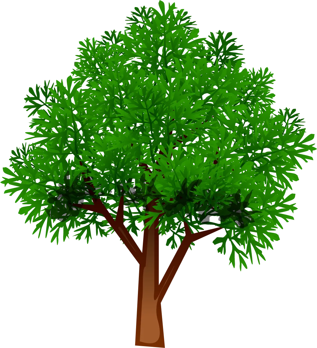 Rath Arborist Services