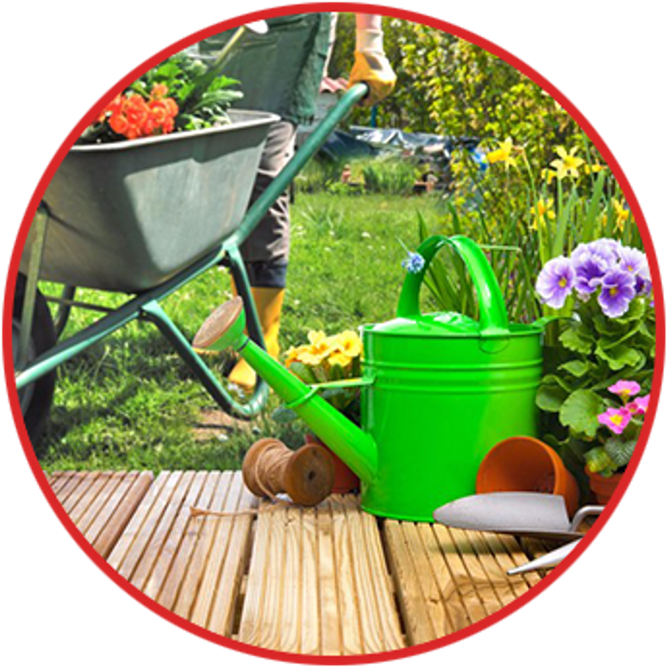 Lawn garden tools seeds