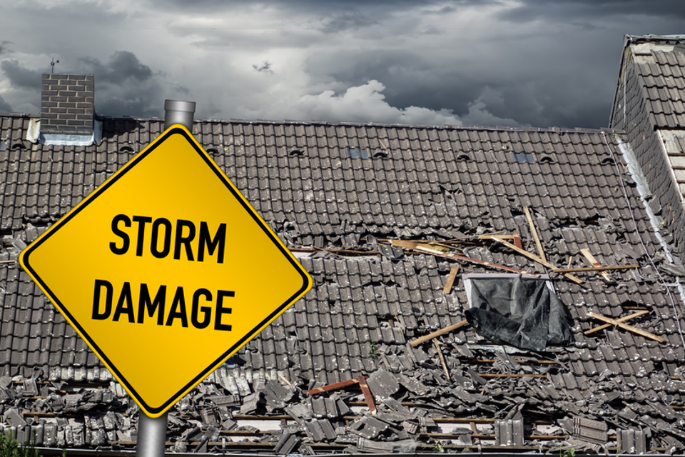 83d9b775 34cc 4911 b559 2caa842f02dc