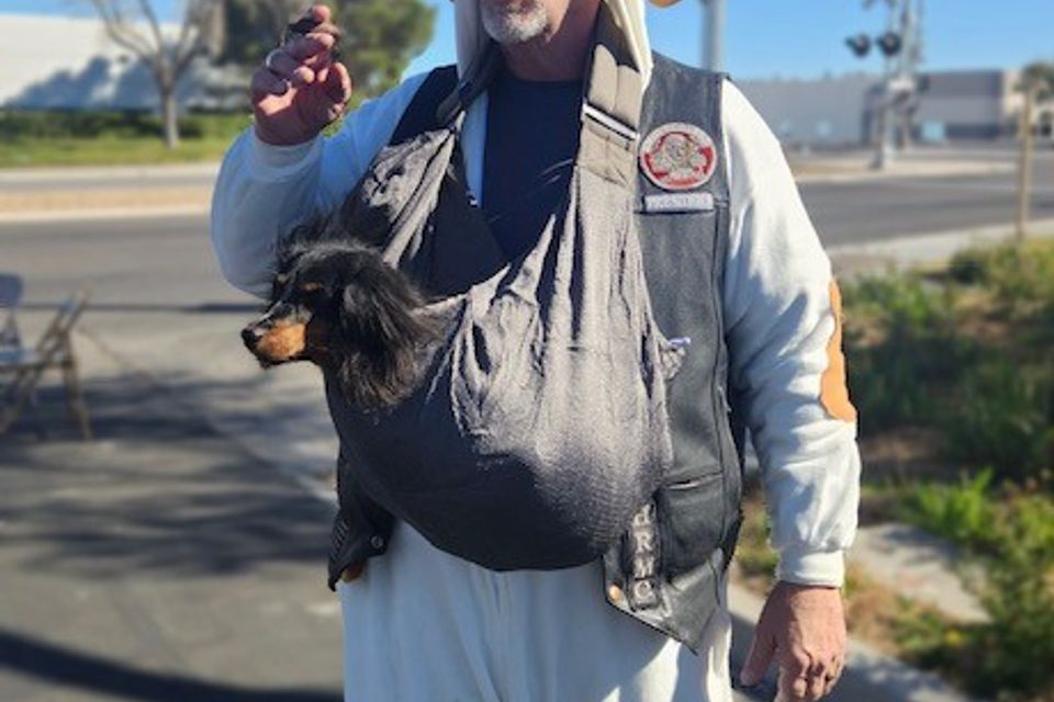 Pissah dog suit