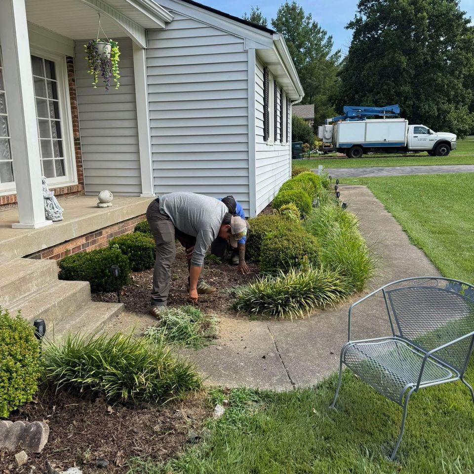 Mulching