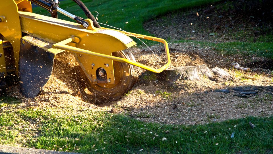 Stump grinding 3 (2)