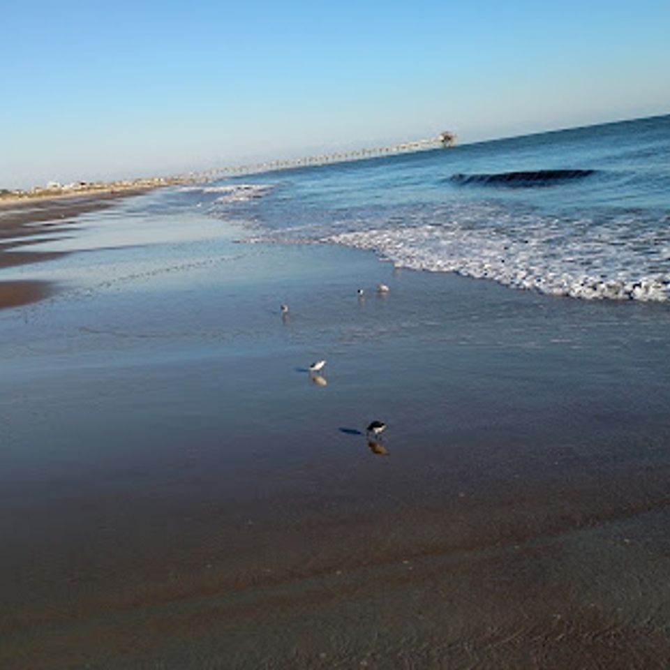 Newport pic