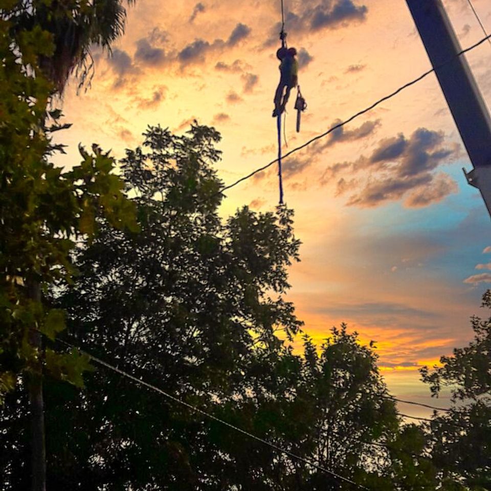 Arborist rappelling from a crane for technical high-canopy tree removal – Bud’s Tri-County Tree Services Inc. – Licensed #785788