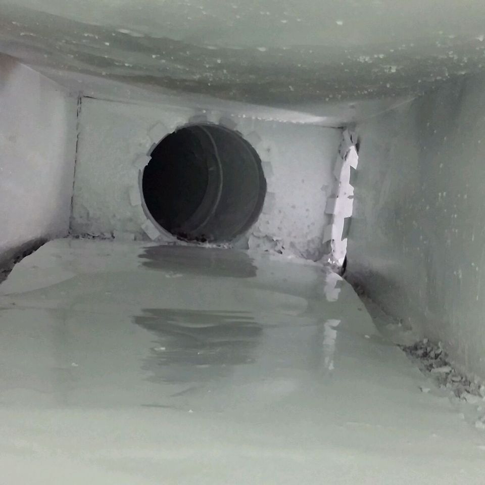 Plenum after march 201520160815 22399 1l8a6z