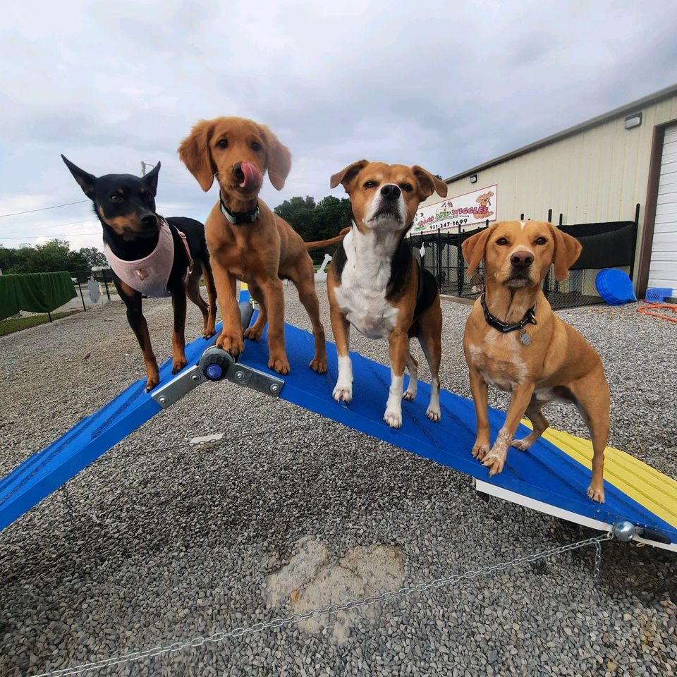 Harley with friends