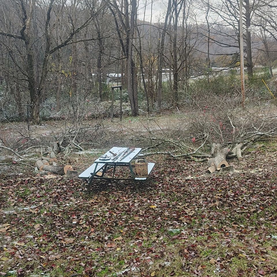 581147723 122102904399107789 5700040547495562548 n