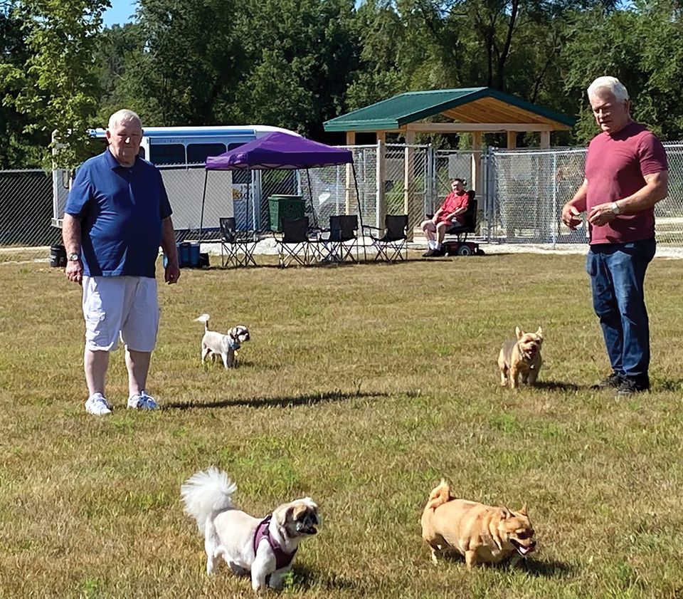 Mendogs