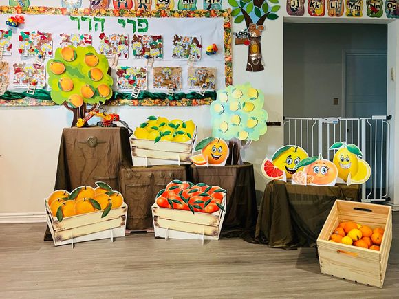 481906569 1692627359166193 599975203251265753 n