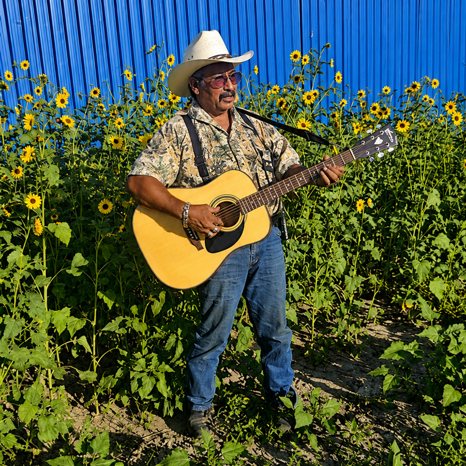 Vegashopsunflower