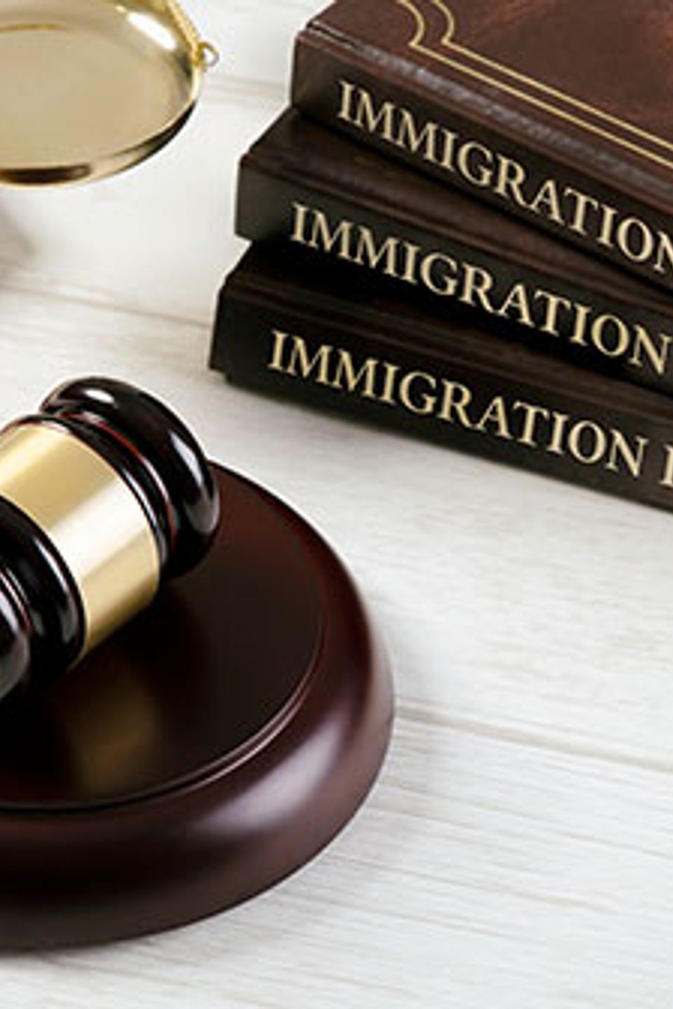 Deportation defense