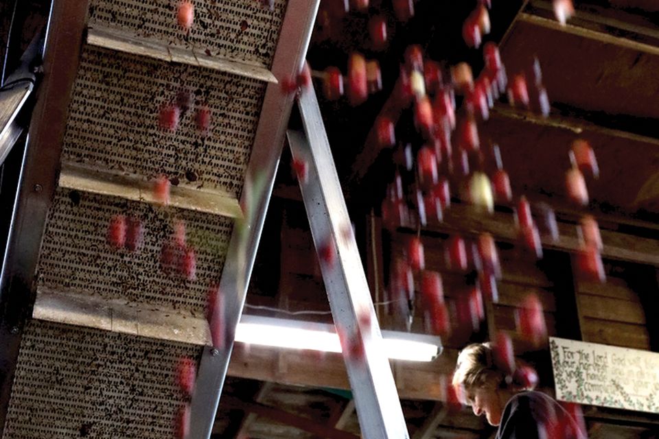 Cranberry festival   copy