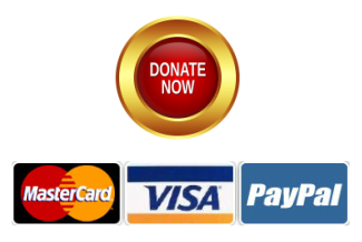 Donation button
