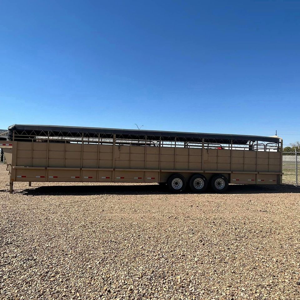 340891975 632013965647186 2402643560285227728 n