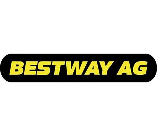 Bestwayag logo original