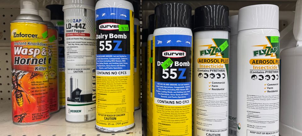 (upload from mobile 1771869743)img 5392