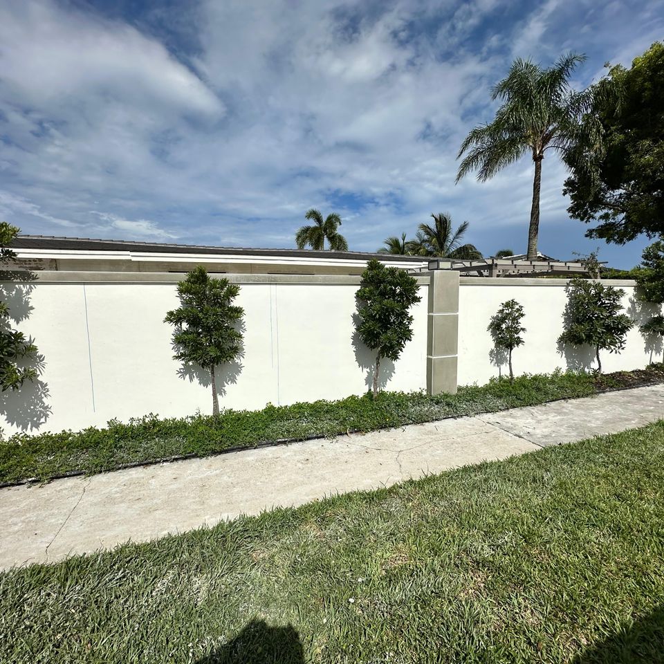 Whatsapp image 2025 12 04 at 10.17.37 am (1)