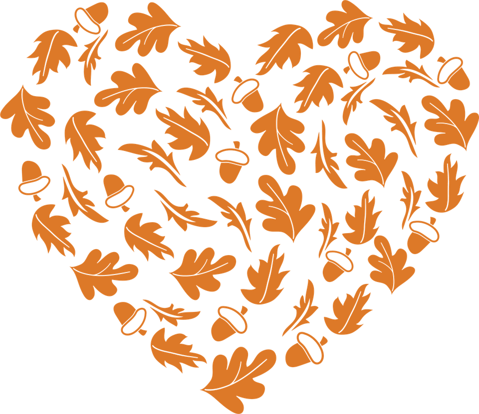 Seasons   fall fall heart fall 12