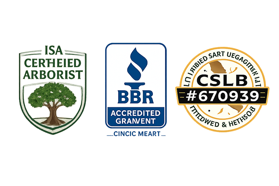 Chatgpt image feb 26  2026  06 59 30 pm