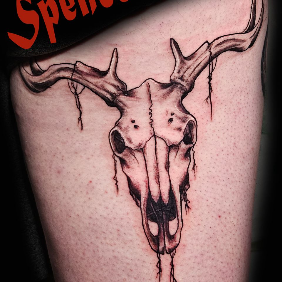 Spence deer skull