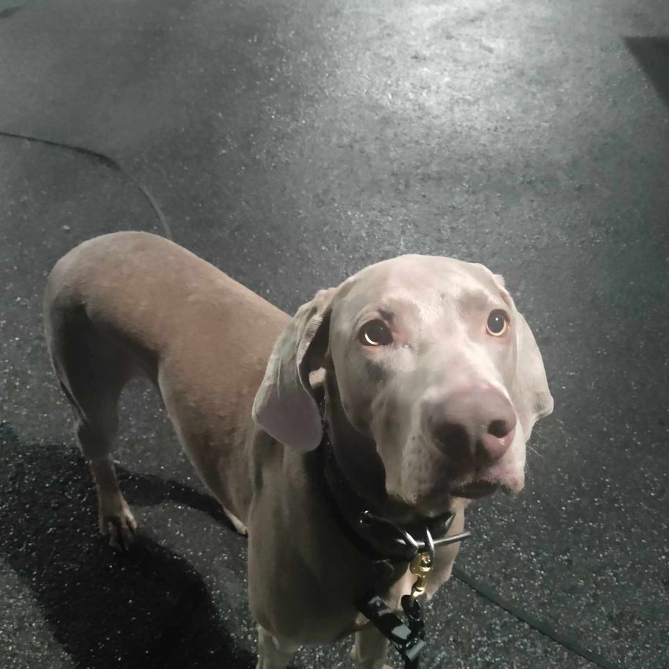 Received 1283308372339975