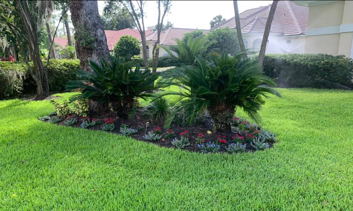 Screenshot 2025 10 20 082049