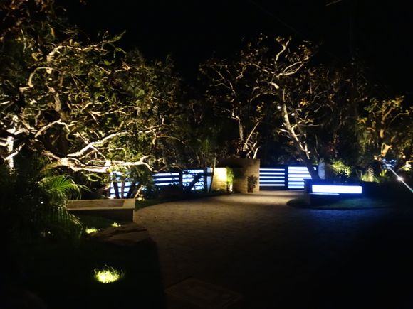 Landscape lighting 1