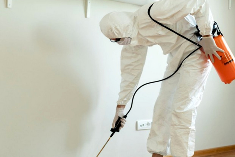  General Pest Control - Man Spraying Poison