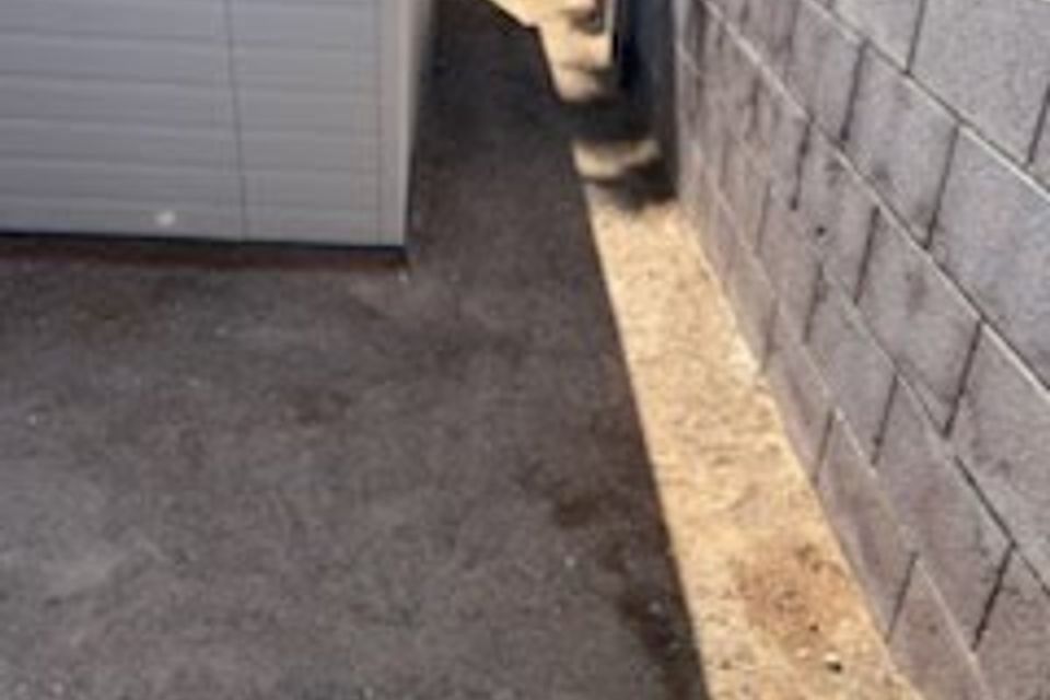 Pooppic 2