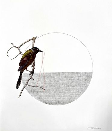 Jenny Schneider: Crow, Collage, Ink and Thread on Paper, 2024