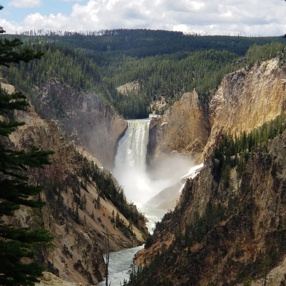 Yellowstone river 2018