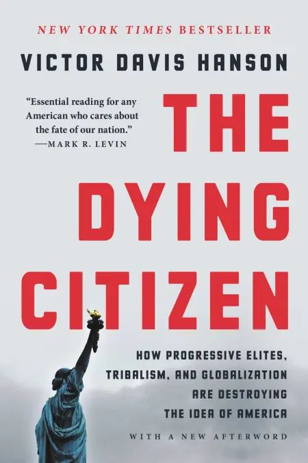 The dying citizen book cover