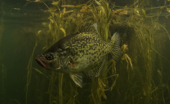 Screenshot 2026 02 24 at 12.51.23 pm