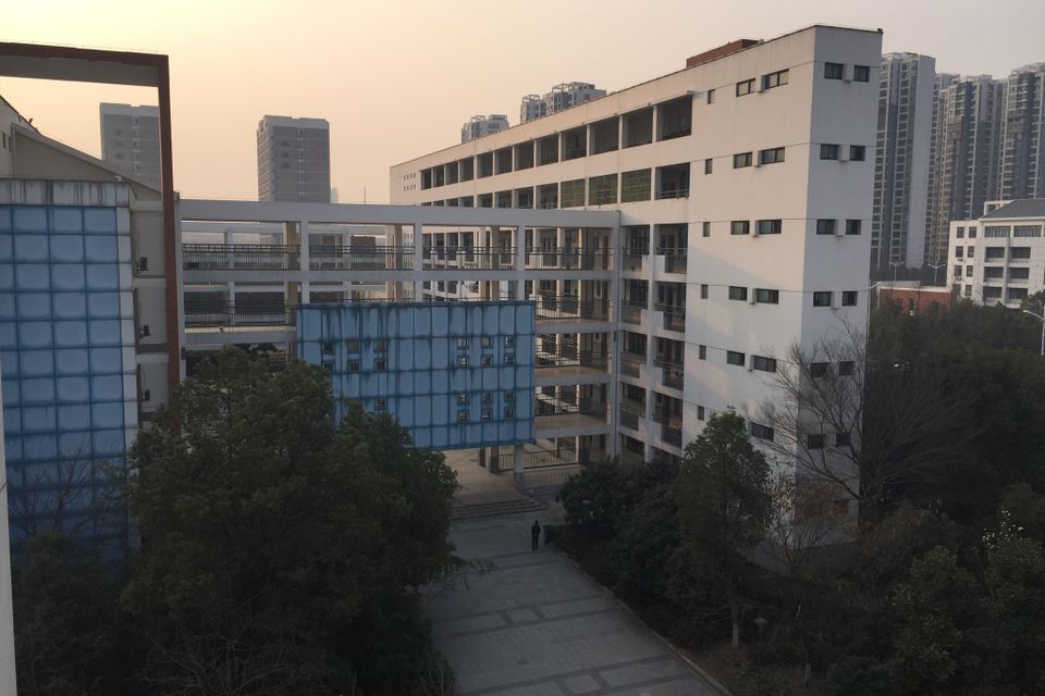 Img 0007 2