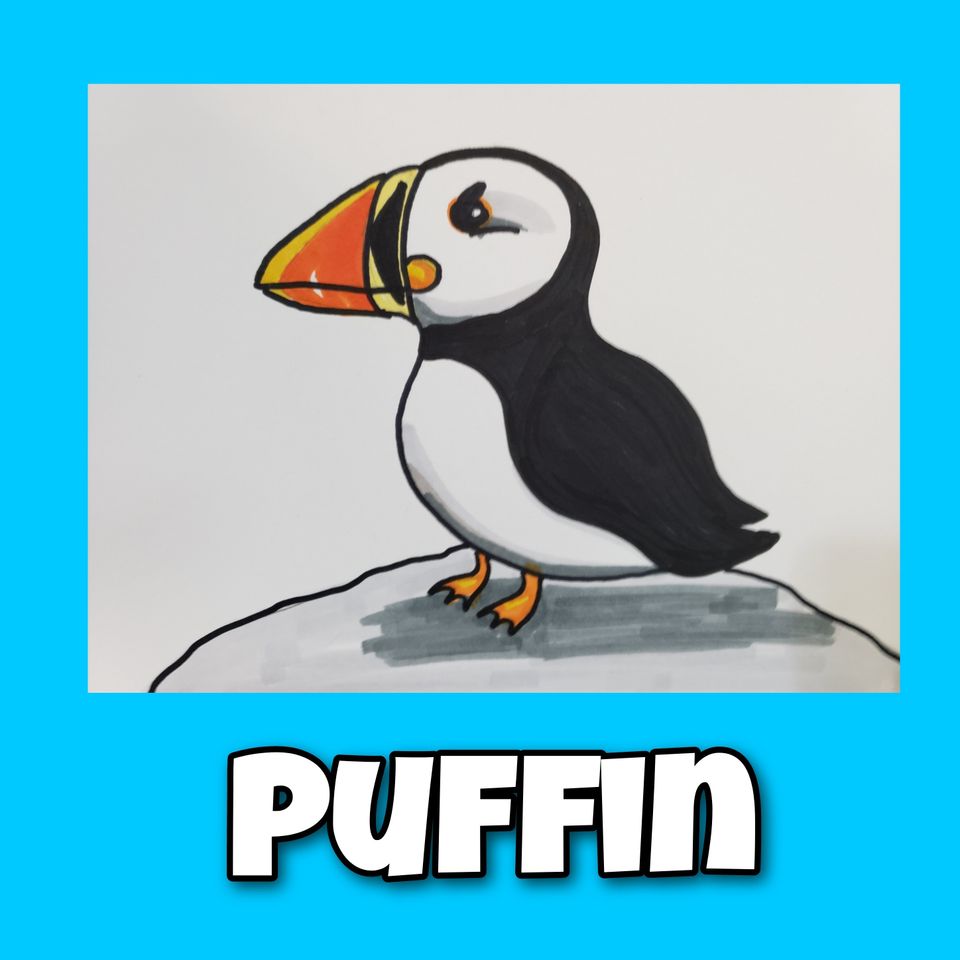 How to Draw puffin bird artist Emily Albright