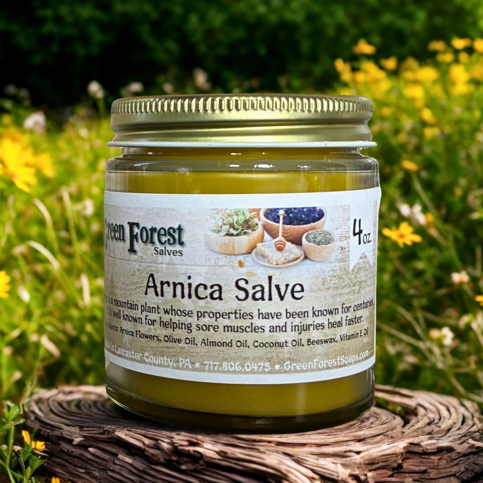 Arnica Salve from Green Forest Soaps & Salves, ParadiseArnica Salve from Green Forest Soaps & Salves, ParadiseArnica Salve from Green Forest Soaps & Salves, Paradise