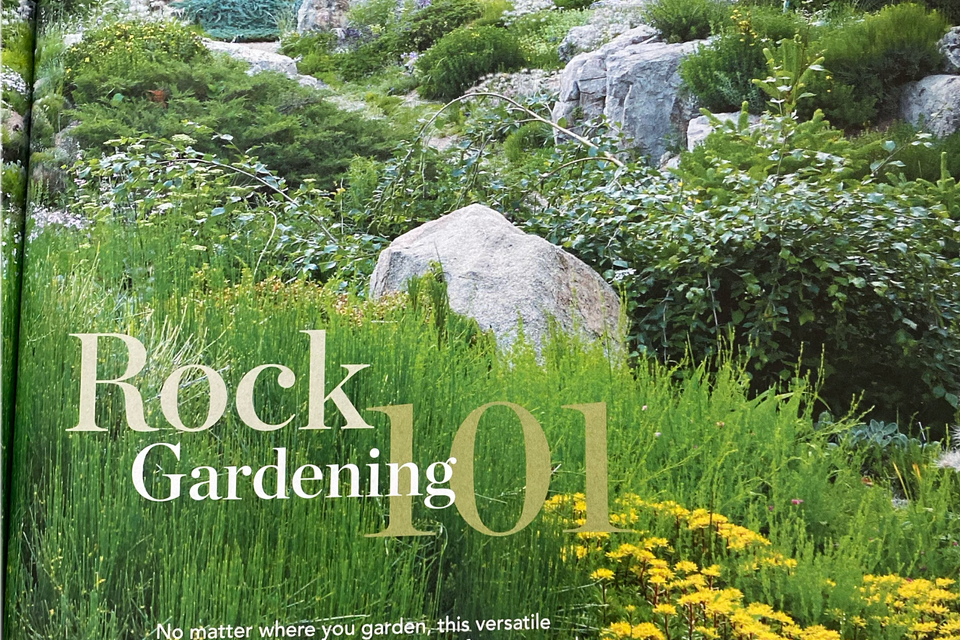 Nargs photo rock gardening