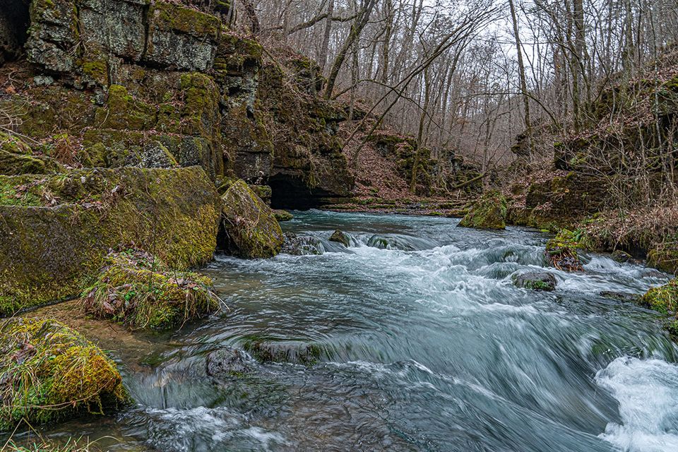 Greer spring